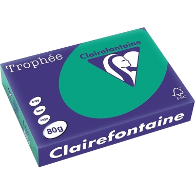 Clairefontaine Kopierpapier Trophée Color DIN A4 80 g/m² 500 Bl./Pack. tannengrün Produktbild
