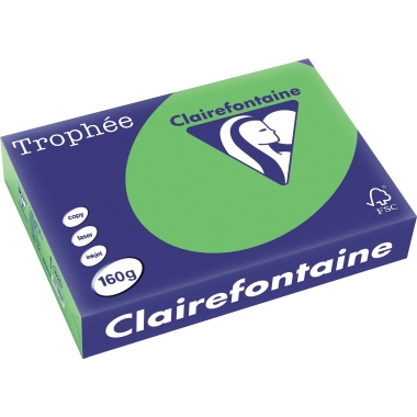 Clairefontaine Kopierpapier Trophée Color DIN A4 160 g/m² 250 Bl./Pack. maigrün Produktbild
