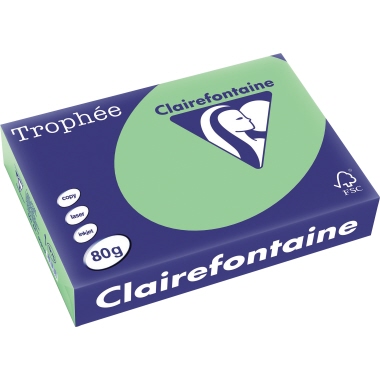 Clairefontaine Kopierpapier Trophée Color DIN A4 80 g/m² 500 Bl./Pack. naturgrün Produktbild