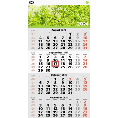 Soennecken Wandkalender oeco 2024 Produktbild