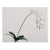 SILK-KA Zimmerpflanze Orchidee 4 St./Pack.