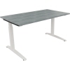 Schreibtisch all in one 1.400 x 650-850 x 700 mm (B x H x T) Flachkufe Quadratrohr beton hell A012549P