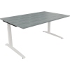 Schreibtisch all in one 1.600 x 650-850 x 1.000 mm (B x H x T) Flachkufe Quadratrohr beton hell A012574Y