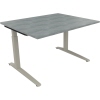 Schreibtisch all in one 1.200 x 650-850 x 1.000 mm (B x H x T) Flachkufe Quadratrohr beton hell A012607E