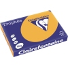 Clairefontaine Kopierpapier Trophée Color DIN A3 80 g/m² A013379M