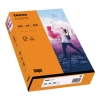 inapa tecno Kopierpapier Colors DIN A4 120 g/m² 250 Bl./Pack. A014461J