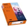 inapa tecno Kopierpapier Colors DIN A4 160 g/m² 250 Bl./Pack. A014461Q