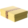 Falken Aufbewahrungsbox PureBox Pastell 24 x 10 x 32 cm (B x H x T)