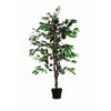 Paperflow Zimmerpflanze Feigenbaum Y000603O