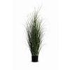 Paperflow Zimmerpflanze Gras Y000603P