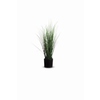 Paperflow Zimmerpflanze Gras Y000603R