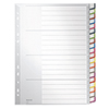 Plastikregister mit beschriftbarem Deckblatt und farbigen Registertabs.