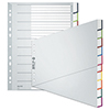 Plastikordnerregister mit beschriftbarem Kartondeckblatt und farbigen Schrägregister-Elementen.