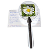 Runde Lupe mit LED-Licht auf einer Karte mit handschriftlichem Text und Blumenmotiv.