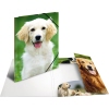 Sammelmappe DIN A3 mit fotorealistischen Hunde-Motiven, offen präsentiert.