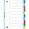 Ordnerregister mit zehn Registerblättern in verschiedenen Farben und Beschriftungsfeldern.