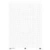 Flipchartblock mit kariertem Papier, kopfgeleimt, ohne Deckblatt und Unterlage.