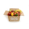 Offene Obstbox mit verschiedenen Früchten wie Äpfeln, Birnen und Bananen auf weißem Hintergrund.