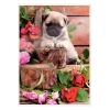 Laminierfolie mit einem Bild eines kleinen Hundes, umgeben von Blumen auf Holzscheiben.