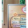 Moderationspapier in Braun mit bunten Notizzetteln und einem Diagramm auf einer Pinnwand.