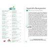 Innenseiten des Buches "Grüne Glücksorte in Köln" mit Text und Illustrationen.