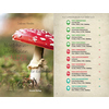 Cover des Buches "Wanderungen für die Seele - Wälder" mit Pilz und Inhaltsverzeichnis.