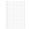DIN A4 Schulblock mit kariertem Papier und Perforationen zur einfachen Entnahme.