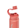 Edelstahl-Trinkflasche in Nordic Coral mit herausnehmbarem Deckel und Silikonband.