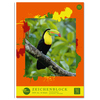 Zeichenblock im DIN A3 Format mit buntem Design und Abbildung eines Tukan-Vogels.