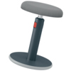 Leitz Sitz-Steh-Hocker Ergo Cosy 2-in-1 grau Produktbild pa_ohnedeko_1 S