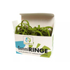 Gummiringe in einer Box, hergestellt aus FSC-zertifiziertem Naturkautschuk, grün.