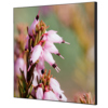 Dekobild mit pinken Blüten auf einem mehrfarbigen Hintergrund in einem frameless Design.