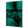 Showdown® Displays Dekobild 84,1 x 59,4 cm (B x H) Botanische Blätter grün Produktbild pa_produktabbildung_1 S