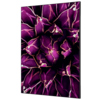 Showdown® Displays Dekobild 84,1 x 59,4 cm (B x H) Kaktus violett Produktbild pa_produktabbildung_1 S