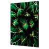 Dekobild eines Kaktus in Grün und Schwarz, eingerahmt in einen dünnen Spannstoff-Rahmen.