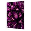 Showdown® Displays Dekobild 42 x 59,4 cm (B x H) Kaktus violett Produktbild pa_produktabbildung_1 S