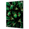 Dekobild eines grünen Kaktus im Spannstoff-Rahmen, Maße 42 x 59,4 cm.