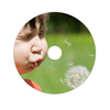 DVD-R Disc mit bedruckbarer Oberfläche und Pusteblume-Motiv im Hintergrund.
