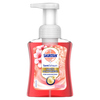 Sagrotan Schaumseife Samt Kirschblüte & Rose Produktbild pa_produktabbildung_1 S