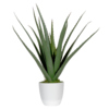 Paperflow Kunstpflanze Aloe Vera 45 cm grün Produktbild pa_produktabbildung_1 S