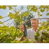 GARDENA Gartenschere AssistCut Produktbild pa_anwendungsbeispiel_2 S