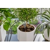 GARDENA Bewässerungssystem Produktbild pa_ohnedeko_1 S
