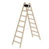 Holzstehleiter mit 2 x 8 Stufen, Eimerhaken und stabilen Hufeisenscharniere.