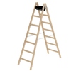 Holz-Stehleiter mit Eimerhaken und stabilen Hufeisenscharniere, max. Arbeitshöhe 3,3 m.
