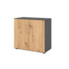 Flügeltürenschrank in graphit und astgebeiztem Holz mit zwei Türen und einem modernen Design.