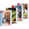 Hausaufgabenheft mit Tiermotiven auf verschiedenen Coverdesigns.