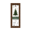 EVERLANDS Weihnachtsbaum Grandis Fir 150 x 210 cm (Ø x H) Produktbild pa_produktabbildung_2 S