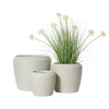 Drei hellbeige Blumentöpfe mit einer Pflanze in der größten Ausführung.