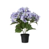 Kunstpflanze Hortensie in lila mit grünen Blättern, präsentiert in einem schwarzen Topf.