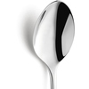 Kaffeelöffel aus Edelstahl mit glänzender Oberfläche und ovalem Löffelkopf.
